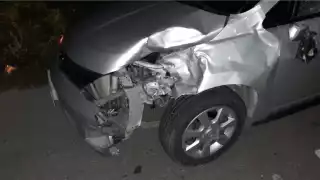 El animal fue retirado del lugar por su propietario, quien manifestó que se escapó del corral