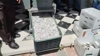 La destrucción fue aprobada por la Comisión de Vigilancia del Registro Federal de Electores