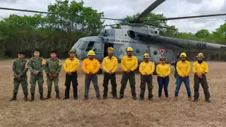 Incendio forestal de Chun Ek: brigadistas reportan control total del siniestro