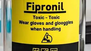 Esto puede causar en las personas el uso de Fipronil, el agroquímico que causó la muerte de abejas en Nohalal