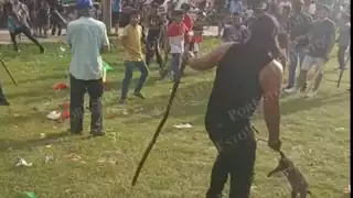 Desarrolla terapias en Campeche contra maltrato animal tras crueldad en Calkiní