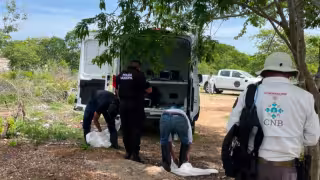Operativo de búsqueda en Umán lleva al hallazgo de un cuerpo; sería de un joven desaparecido