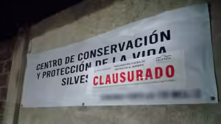 Profepa clausura Animal Experience tras muerte de Kenzo, tigre blanco que escapó en Tepetlaoxtoc