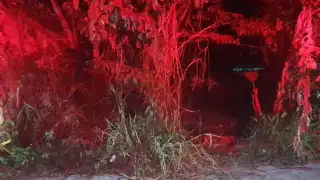 Una mujer fue atacada en Escárcega