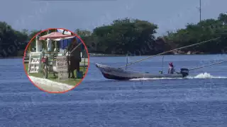 Pulpo al garete: Campeche resiste la baja captura con promedios de 10–15 kilos por viaje