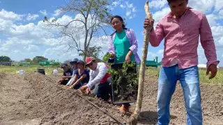 Los productores han perdido hasta 10 mil pesos en los sembrados