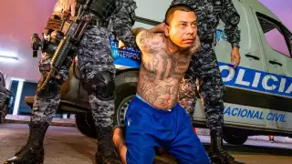 Desmantelando el terror: Estrategias exitosas contra la Mara Salvatrucha