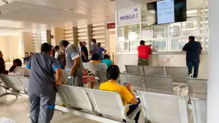 El infectólogo Fernando Salazar señaló que en Yucatán, generalmente hay más mosquitos durante la temporada de lluvias