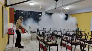 Informaron que las campañas de fumigación continúan
