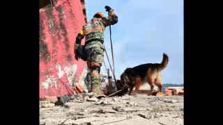 Ejército mexicano logra rescatar con vida a niño de 9 años entre los escombros en Venezuela tras devastadores terremotos