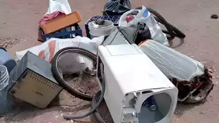 Suman 47 toneladas recolectas de potenciales criaderos de moscos en Mérida