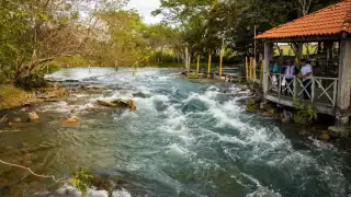 49 mil 500 hectáreas forman parte del Corredor Biológico de Campeche