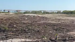 Avanza la devastación de Sisal: Planean vender los terrenos clausurados por la Profepa en hasta un millón de pesos 