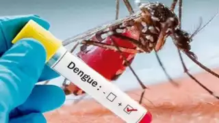 Hay tres casos de dengue grave en Ciudad del Carmen