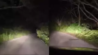 La ruta del miedo: sin luz ni vida, así luce la carretera más oscura de Yucatán