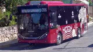 Colonias de Campeche logran rutas directas del Ko´ox al mercado principal: ¿Desde cuándo será?