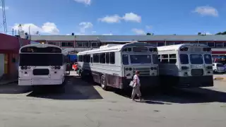 Locatarios del mercado “Lázaro Cárdenas” reportaron hasta un 60% de incremento en las ventas.