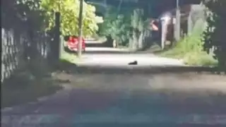 El niño fue rescatado por su padre e informó que padece de autismo