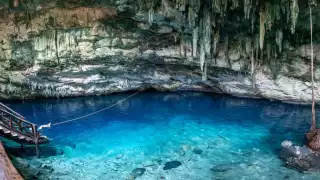  Cenotes de Yucatán poco conocidos y sin tanta gente: Explora los secretos mejor guardados  