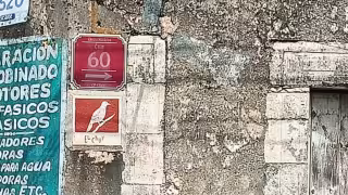 Esquinas con nombre de Mérida tendrán un proyecto para preservar su historia