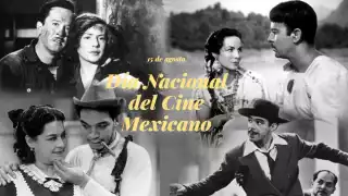 Es año la cartelera se conforma por 43 películas