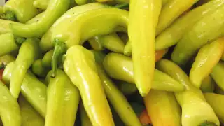 Este tipo de chile mide alrededor de 11 cm de largo