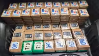 Detienen en Tlalpan a persona con 217 kilos de cocaína ocultos en un vehículo