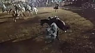 Toro destripa a un caballo durante un torneo de lazo en Kimbilá, Yucatán: VIDEO