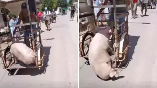 El audio ya se ha usado para una infinidad de videos de caídas en TikTok