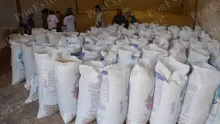 Segalmex favorece a foráneos y deja en espera a productores de El Poste, acusan campesinos de Hopelchén