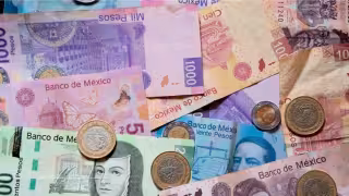 La SHCP señaló que en enero, la recaudación tributaria registró un incremento de 4.8%