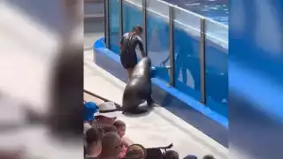 La entrenadora afortunadamente la libró. Foto: Especial