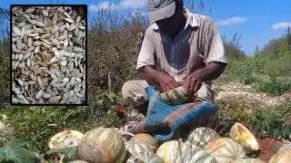 Foto: Fernando Kantún