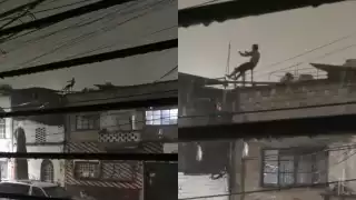 El joven haciendo ejercicio se ha hecho viral en TikTok