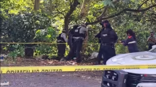 Hallan cinco cuerpos en la autopista Orizaba-Puebla; cuatro estaban dentro de bolsas en un barranco