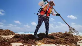 Utilizarían maquinarias en caso de exceso de sargazo