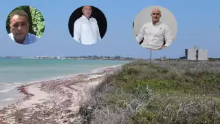 Las edificaciones deben respetar normas como distancia, altura, porcentaje de ocupación, pero también libre tránsito de especies