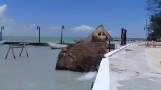 Durante la última semana se cayeron cerca de siete palapas