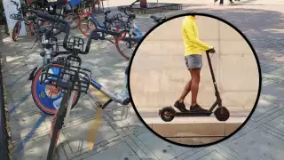 El plan piloto tendrá una flotilla de 28 a 35 unidades e irá del Centro al Monumento a la Patria