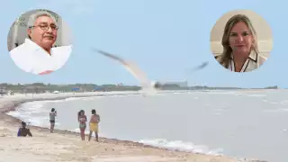 Paraíso Sisal: Consejo Empresarial exige todo el peso de la ley para los Campos Agüero