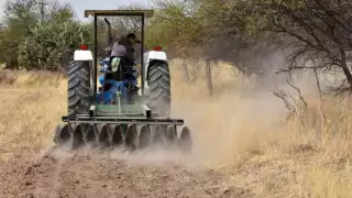 En la Península de Yucatán, Campeche es el estado con más problemas por sequía