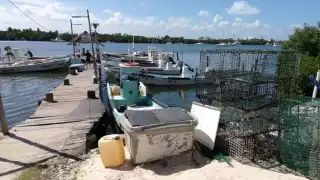 La veda durará 4 meses