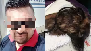Será en tres meses cuando se reanude la audiencia del hombre acusado por rebanarle la pata a un perro en Umán