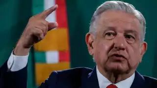 Se ordenó dar vista al Presidente  de la República y al Órgano Interno de Control de la Presidencia de la República para que actúe conforme a sus facultades y les imponga la sanción que corresponda