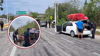 Campeche refuerza vigilancia tras operativos federales en Jalisco