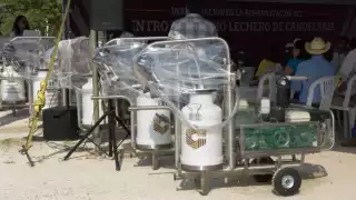 Este año se espera la obtención de 46 millones de litros de leche en la Entidad