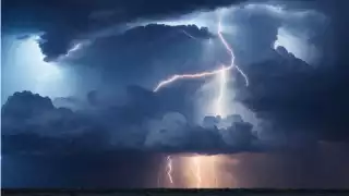 Todo ocurrió en Estados Unidos. Foto: Especial