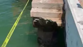 Colapsa estructura del muelle de Chicxulub y deja dos lesionados