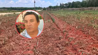 Sequía golpea a Hopelchén: se pierden 800 hectáreas de maíz y soya; daños alcanzarían 7.6 mdp