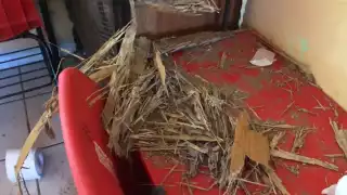 En menos de un mes, volvieron a robar en la escuela primaria